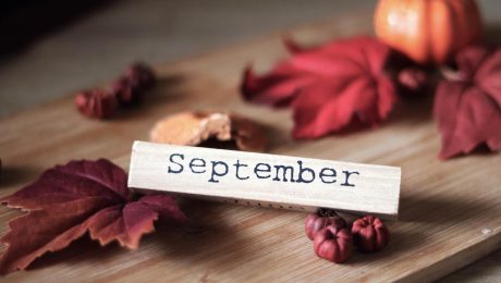 settembre la speziale 4